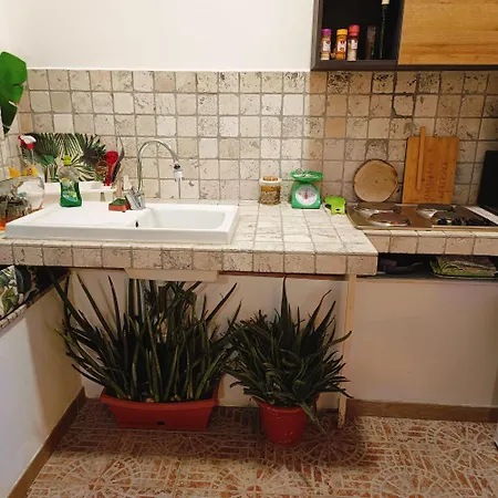 Green Home *