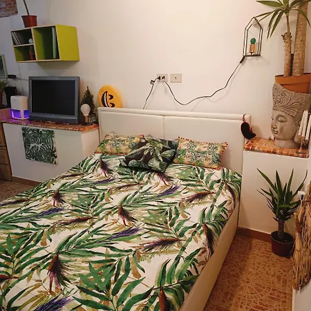 Green Home *